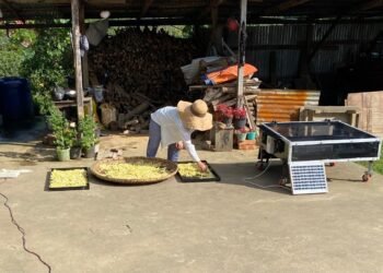 Rudra Solar Energy Empowers Farmers in Tamenglong with Advanced Solar Drying Technology