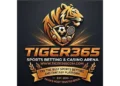 Tiger365 Pro